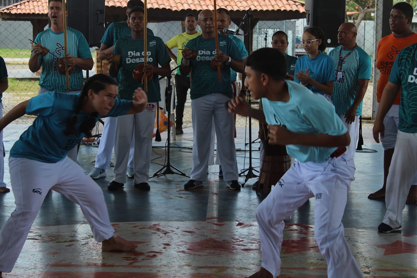 Artes Marciais (Capoeira)